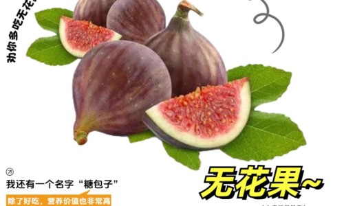 天雄丸的功效与作用及禁忌-天雄丸的功效与作用网—知名的天雄丸的功效与作用及禁忌网站,分享天雄丸的功效与作用是什么知识