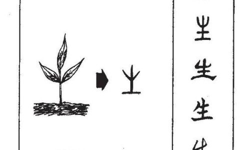天雄丸的功效与作用及禁忌-天雄丸的功效与作用网—知名的天雄丸的功效与作用及禁忌网站,分享天雄丸的功效与作用是什么知识
